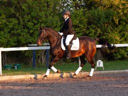 IMG_8002_web